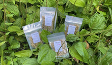 Load image into Gallery viewer, 2 Week Herbal Detox Package
